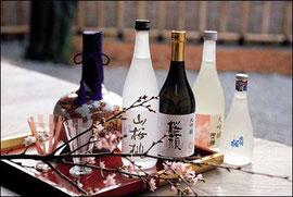 Sự khác nhau giữa rượu sake và shochu Nhật Bản