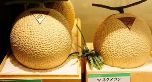 Vì sao trái cây tại Nhật Bản lại có giá cao ngất ngưỡng?